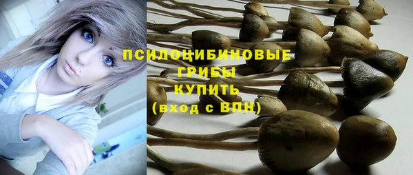 альфа пвп Белокуриха