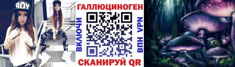 Купить  Лесосибирск  Псилоцибиновые грибы Cubensis 
